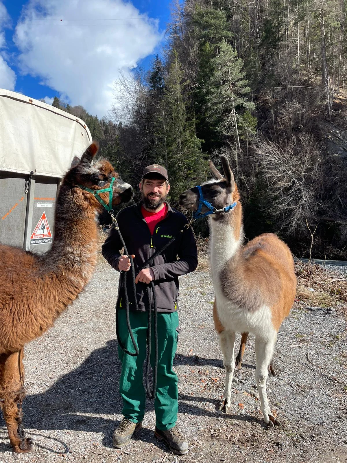 Foto von Mann mit Lama