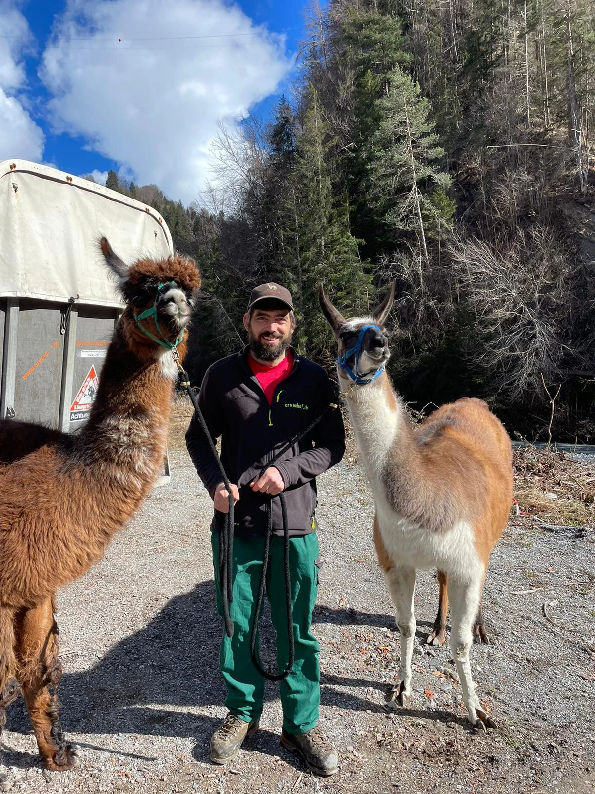 Foto von Mann mit Lama